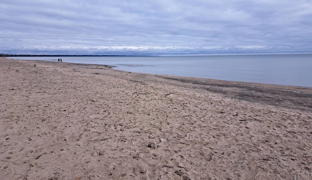 Beautiful 4 season Cottage in Rondeau. 2 minutes to Beach or Provincial Park.