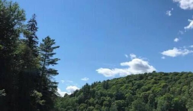 Beautiful Algonquin Lakefront Cottage Experience