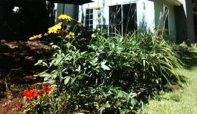 Beautiful cottage - The Nymphea by the lake