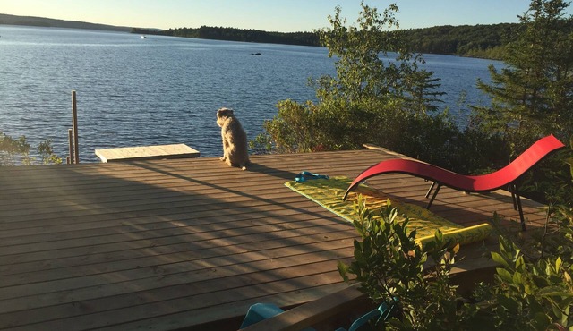 Beautiful private waterfront cottage on Sherbrooke Lake, Nova Scotia