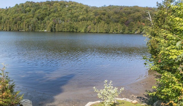 Big Cottage on the lake (The Grand Lodge)
