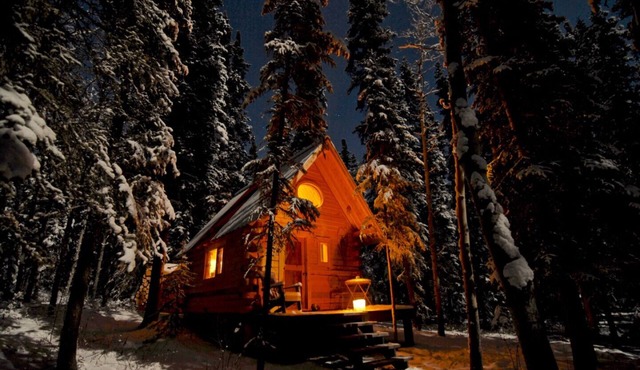 Birdhouse/Off-the-grid Cabin, Marsh Lake, YT