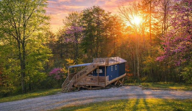 Blue Bird Tiny House: Hot Tub + Rooftop Deck