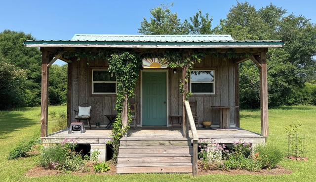 Blue Sky Studio in Silverhill