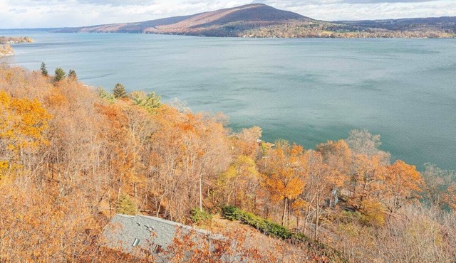 Bopple Hill Lodge - Modern Cabin with Lake View
