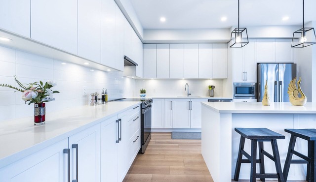 Brand new beautiful townhome in Tsawwassen