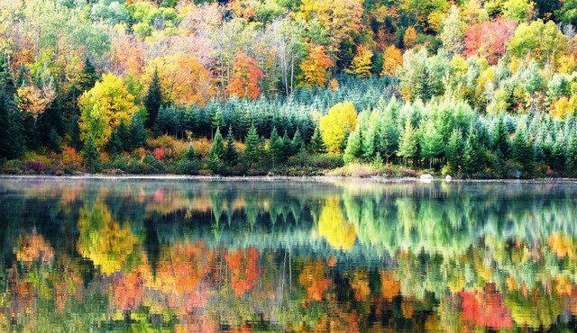 Breathtaking waterfront cottage 20 minutes from National Park and Ski Station