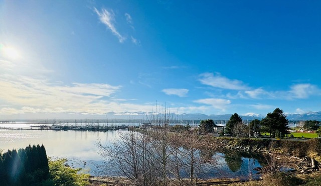 Breathtaking Waterfront suite in central Comox