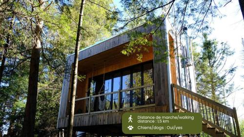 Cabin Zoobox 81