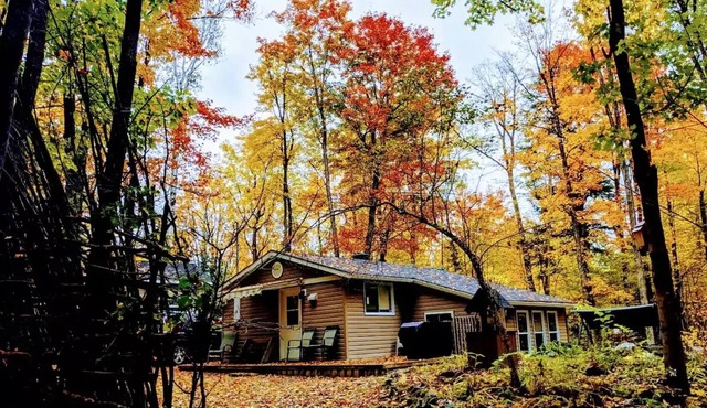 Chalet Hakuna Matata Enchanted Cottage