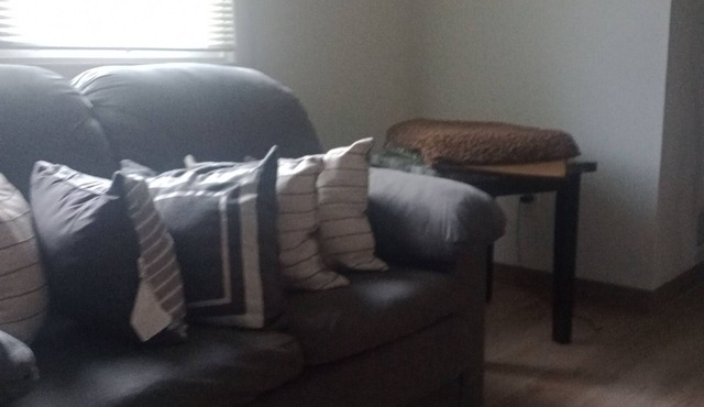Charming 3-bedroom condo in pleasant Rochester with AC, WiFi. And very clear