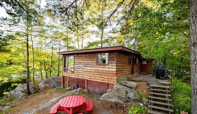Charming and bright 3 bedroom cottage in Gravenhurst Muskoka