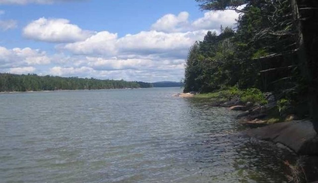 Charming waterfront Cape on 5 acres - Protected habitat - Bikes and Kayaks Incl