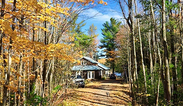 Chelsea Cottage Retreat for Rent