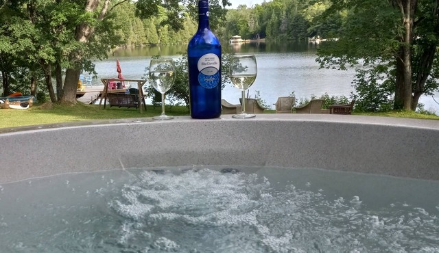 Child/Pet Friendly Cottage Loon Calls - Zoom Calls