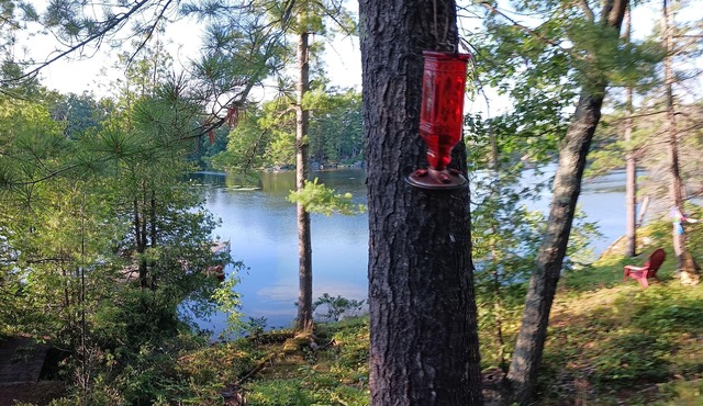 Comfy 8-person cottage. STONEY LAKE. Kawarthas. Pet friendly. 90 mins Toronto