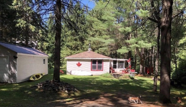 Cozy 2 Bedroom Pet-friendly Cottage!