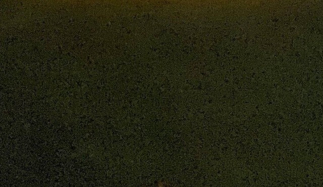 Cozy 2 bedroom unit overlooking Cooks Bay Lake Simcoe. Pet Friendly