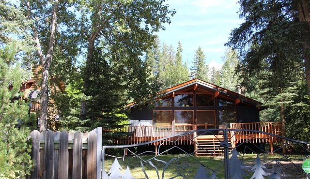 Cozy Cabin in the Rockies