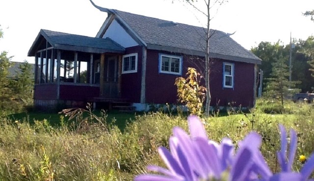 Cozy cabin near RMNP with screened-in deck, forest and meadow views