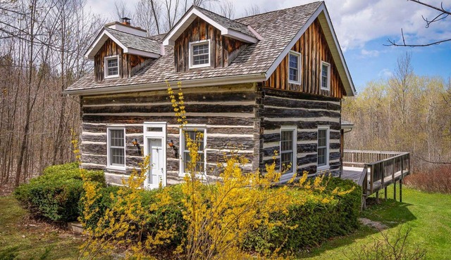 Cozy Cabin w/hot tub