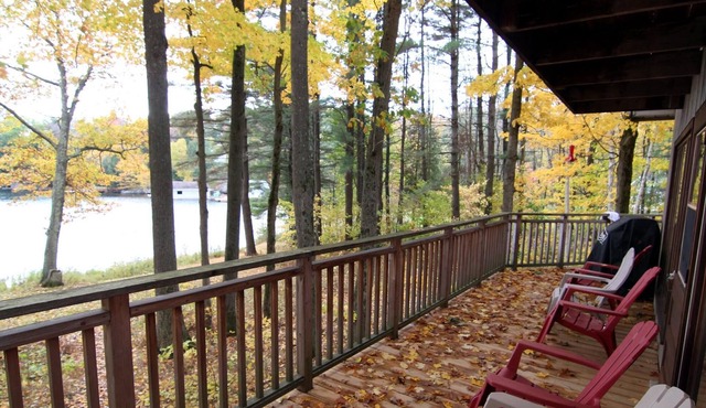 Cozy Cottage on Lake Muskoka! 3bdrm, 2 bath! Beach + Sandbar! South Exposure!
