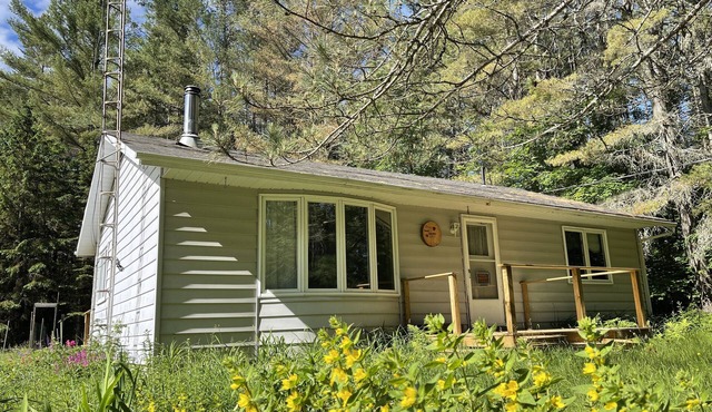 Cozy family cabin in the forest