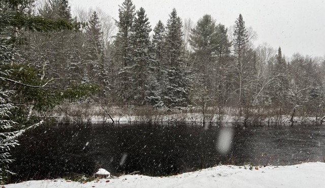 Cozy family cottage with beautiful scenic view on York river in Bancroft