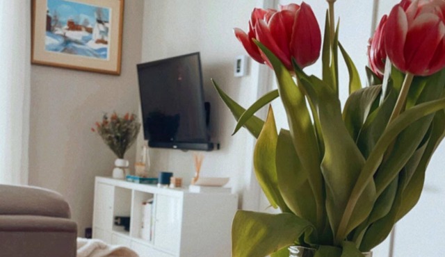 Cozy stay 1+1 bed in trendy HOMA + easy parking