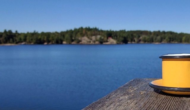 Crow Bay Cottage-Ontario, private, waterfront cottage with pontoon boat