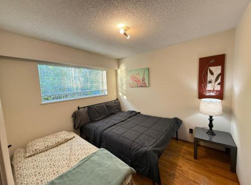 Deluxe Private Family Queen Room