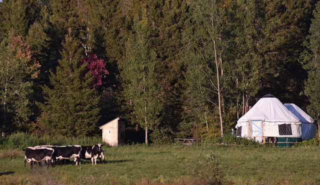 Escape to Nature: Cozy Yurt on a Heritage Farm with Trails, Pond, & Sauna