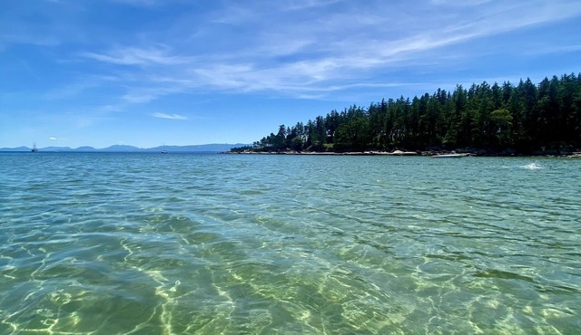 Fabulous cottage in the heart of Qualicum Beach. Inspired by Nature.