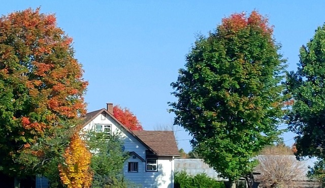 Family Farmstay Adventure – Rural Escape with Farm Fun & Space to Explore!
