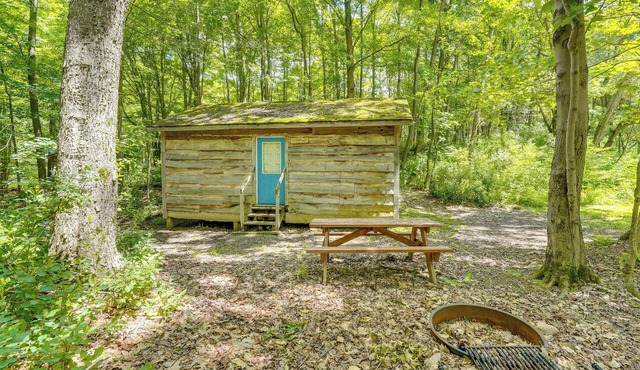 Fish, Slide & Unwind: Letchworth Valley Cabin!