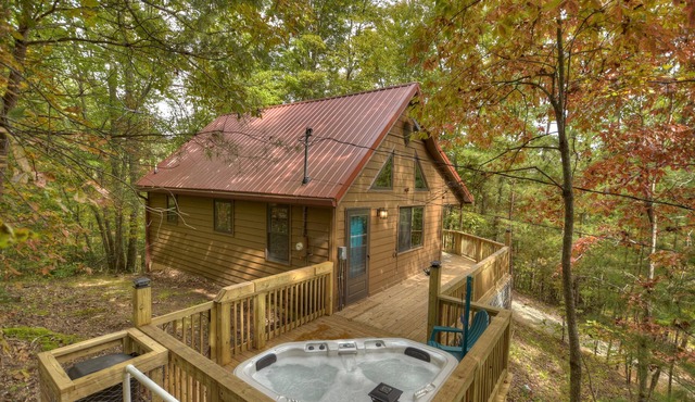 Fox Den Cabin is the perfect mountain cabin that sleeps 4 w/ hot tub & fire pit. in Mineral Bluff