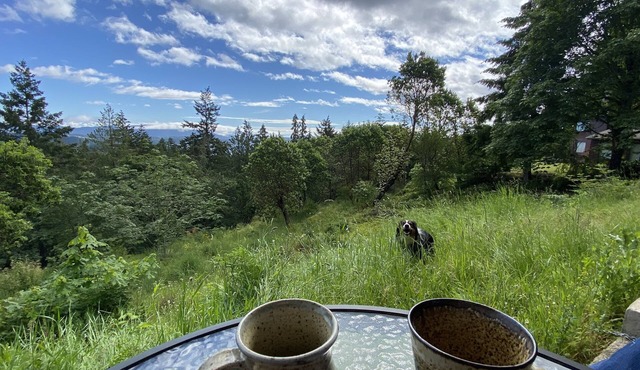 Garden views and ocean glimpses, close to all that Saltspring offers.