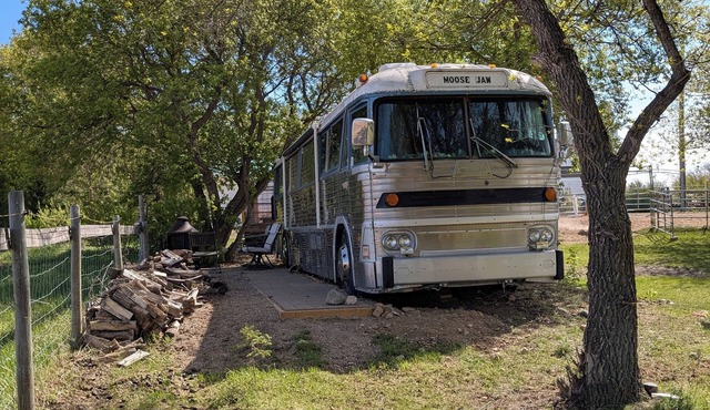 Grayhound RV bus at Vicki's EAL and Photography. Equine assistant learning.