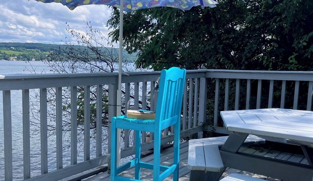 Gull Cottage on Keuka Lake. Waterfront, kayaks, fire pit near wineries.