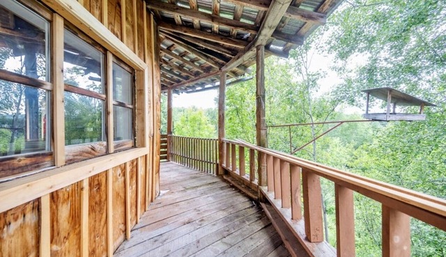 Heavenly Family Cottage on 50 acres of Forest - Minutes from Town and Beach