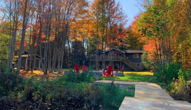 High-End 4 Bedroom Cottage - Pets ★★★★★