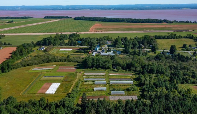 Historic farmhouse on organic veggie farm on the Bay of Fundy