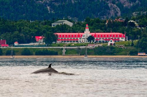 Hotel Tadoussac