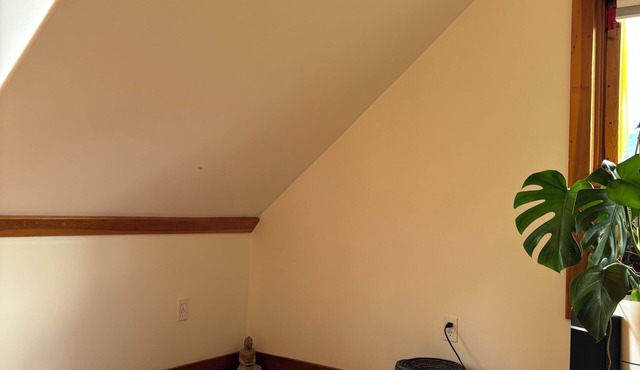 Kaslo Manor Lodge - The Loki Suite - perfect for groups/families, pet friendly