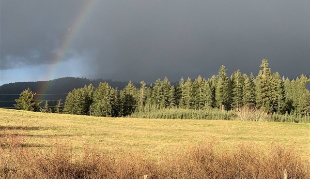 LACEY MEADOWS Acreage