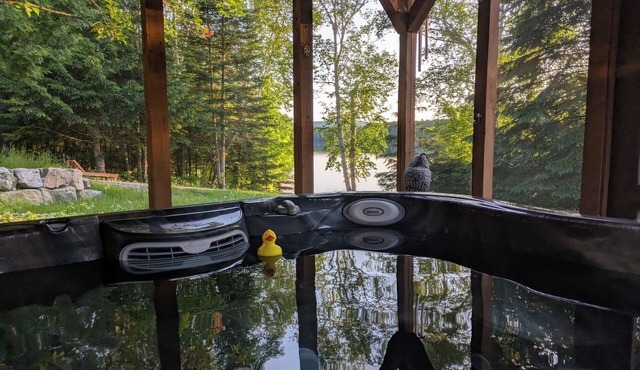 LAKEFRONT COTTAGE/ATV & SKIDOO/cross-country skiing/fat bike, snowshoe, hiking in Chute-Saint-Philippe
