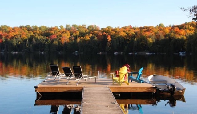 Lakefront South Algonquin Paradise