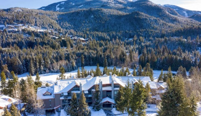 Large condo that sleeps 8. Walking distance to Whistler Village and Alta Lake.