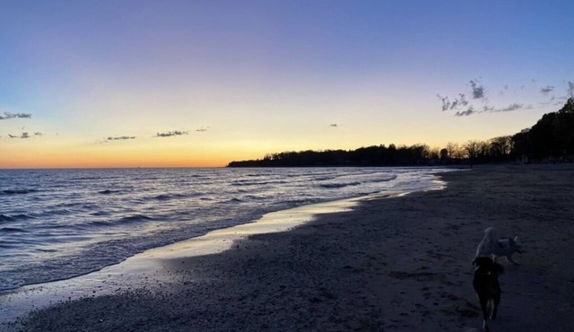Lazy Daisy - A perfect Canadian Lake Erie getaway! Pet-friendly!