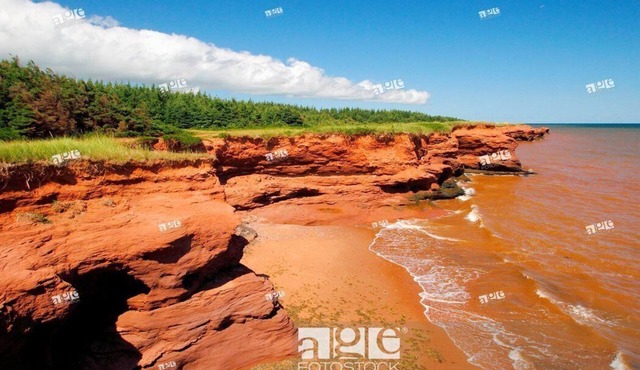 Lighthouse on the cliffs of Kildare Capes, PEI License # 2101229